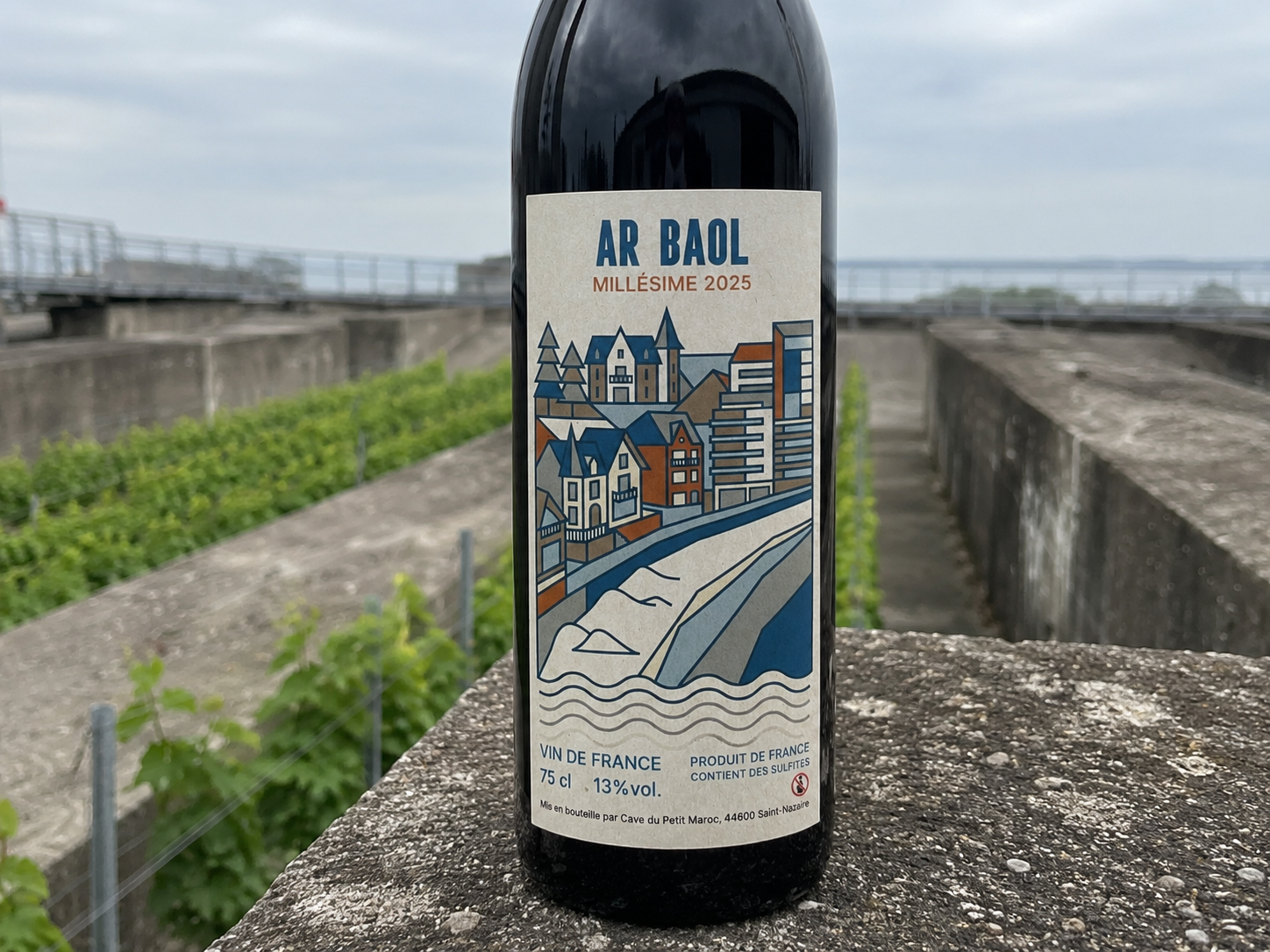 Ar Baol — vignes en fond